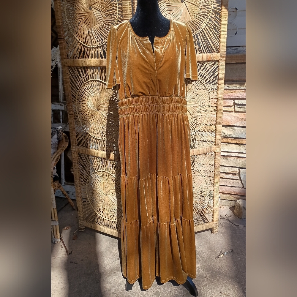 See And Be Seen Elegant Gold Volour Maxi Dress_Large